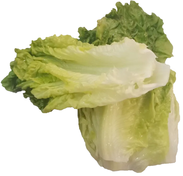 新鲜结球生菜菜叶免抠实物实拍摄影元素素材psd模版下载