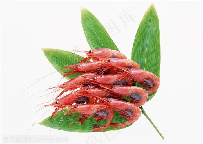 海洋生物-放在竹叶上的弯曲的红色虾子