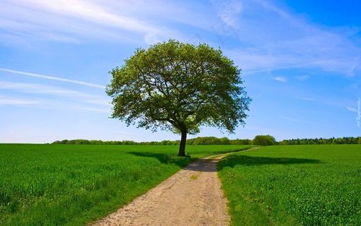 自然风光自然风景高清背景素材