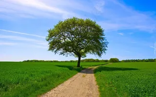 自然风光自然风景高清背景素材