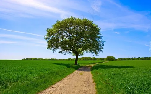 自然风光自然风景高清背景素材 自然风光自然风景高清背景素材