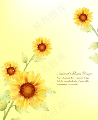 太阳花背景壁纸