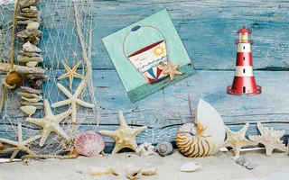 海星渔网木板背景