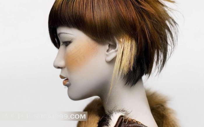 时尚美发图片造型写真