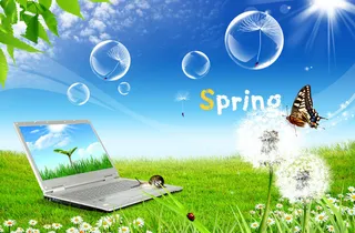 蓝天白云花草电脑风景