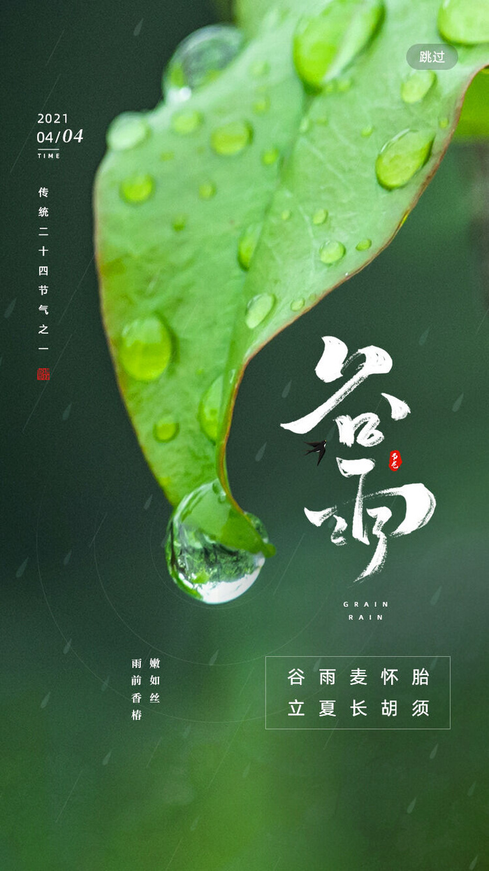 谷雨二十四节气海报设计psd模版下载