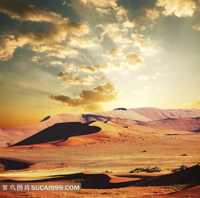 山坡沙漠风景图片