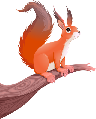 松鼠橘色卡通