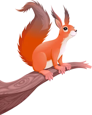 松鼠橘色卡通