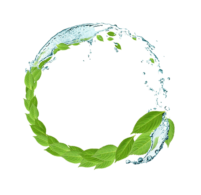 水波-素材-绿色植物-护肤