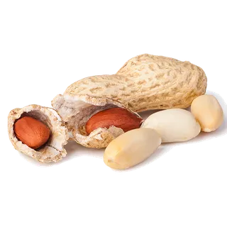 花生干果超市商品白底图免抠实物摄影png格式图片透明底