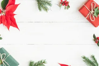 圣诞节垂直画幅场景圣诞装饰圣诞树枝(66)