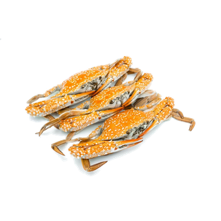 螃蟹(6)海鲜超市商品红酒白底图免抠实物摄影png格式图片透明底