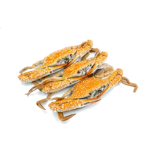 螃蟹(6)海鲜超市商品红酒白底图免抠实物摄影png格式图片透明底