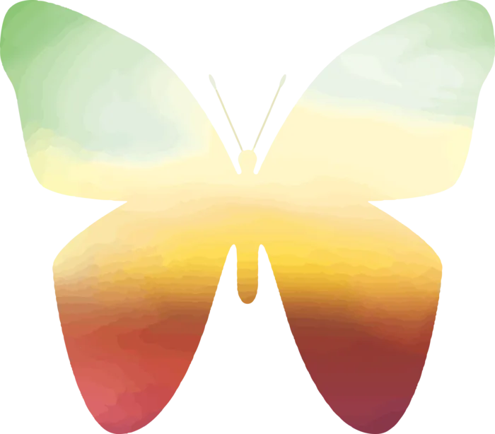 卡通动画动画蝴蝶免扣PNG手绘插画图片素材 (114)