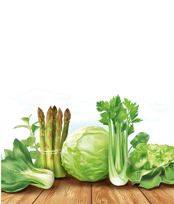 现代农业蔬菜卡通