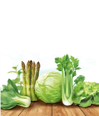 现代农业蔬菜卡通