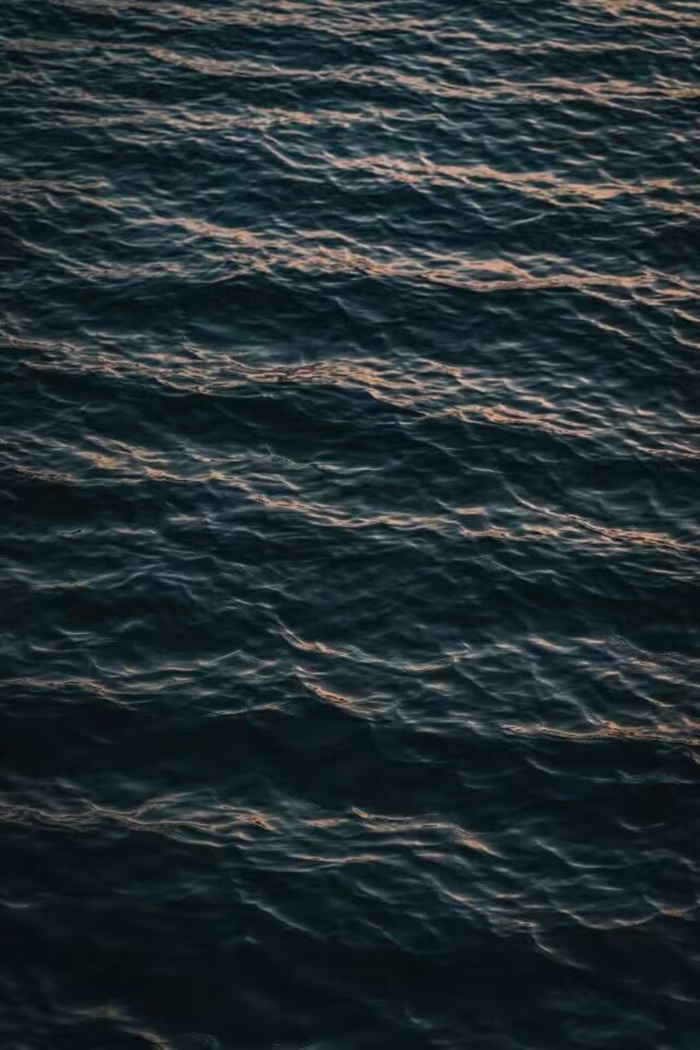 荡漾的水面