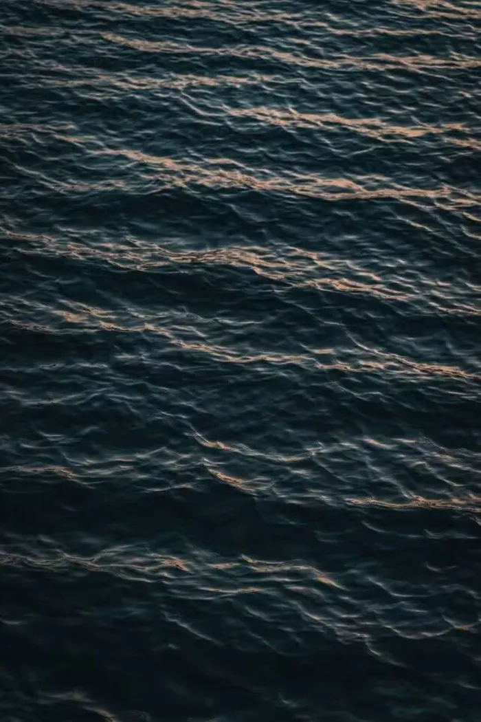 荡漾的水面
