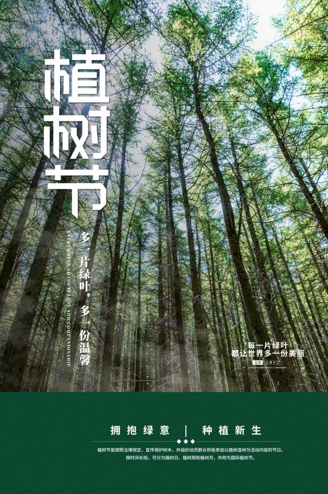 植树节3.12海报psd模版下载