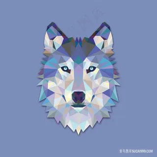 水彩矢量狼头艺术插画