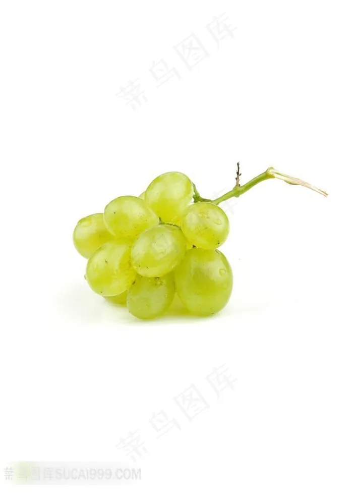 夏日食系列---葡萄