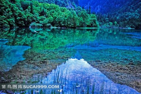 四川九寨熊猫海风景高清图片