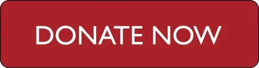 捐赠 PNG免抠(1472x391)