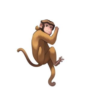 猴子动物免抠
