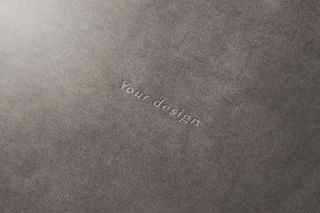 LOGO样机展示效果