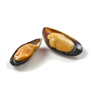 螺贝类带壳类(97)海鲜超市商品红酒白底图免抠实物摄影png格式图片透明底