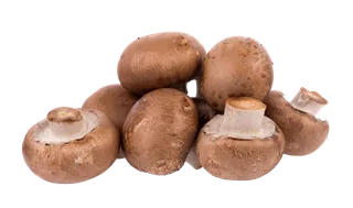香菇 (19)超市商品白底图免抠实物摄影png格式图片透明底