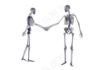 骷髅人握手图片