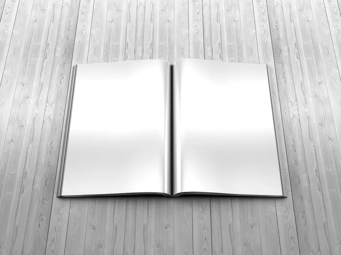 简约画册样机展示效果psd模版下载