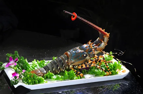HQ290-龙虾 HQ290-龙虾