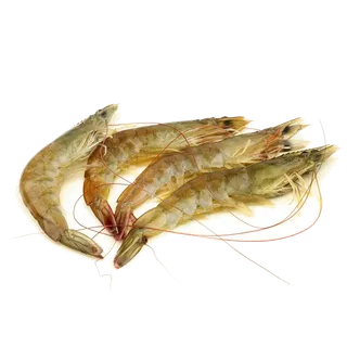 虾类(39)海鲜超市商品红酒白底图免抠实物摄影png格式图片透明底