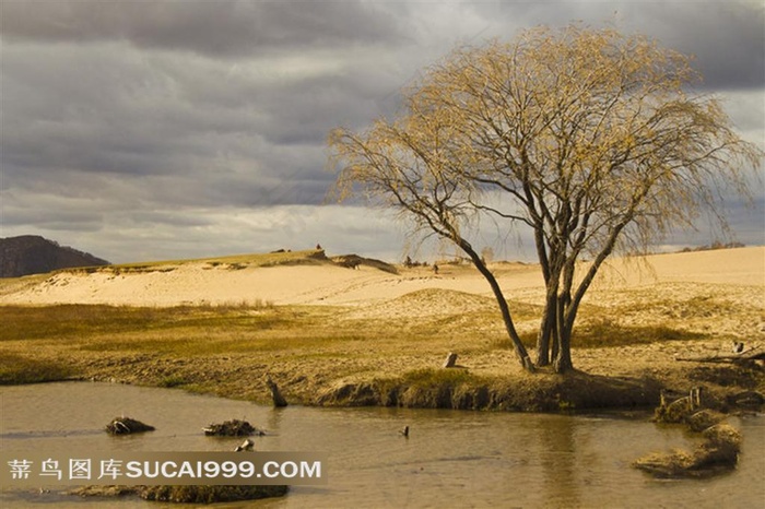 干涸草原树木边溪流