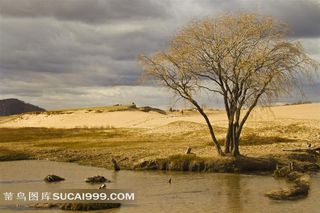 干涸草原树木边溪流