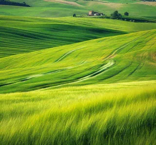 春天连绵山脉绿色草地郊游，清新惊蛰春分摄影图