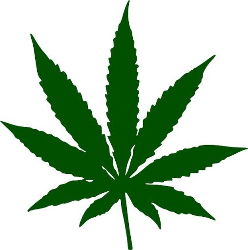 大麻PNG免抠(635x640)