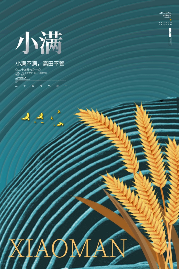 小满 小满促销海报psd模版下载