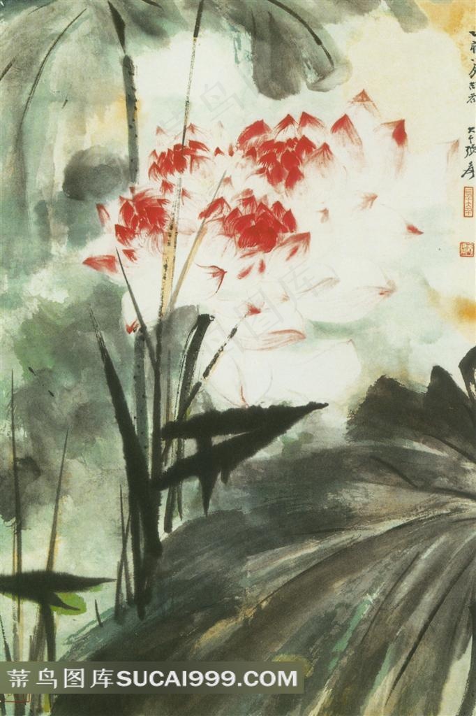 中国水墨花鸟画荷花图