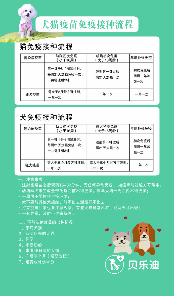 猫狗接种流程psd模版下载