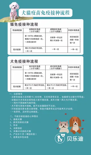 猫狗接种流程