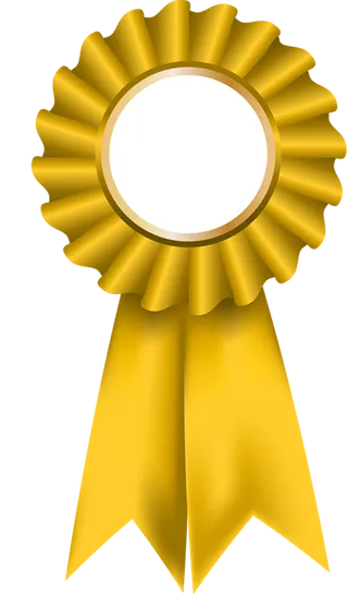 黄色胸花卡通徽章少儿兴趣班