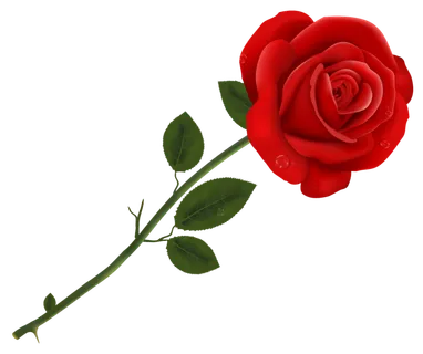 鲜花玫瑰免扣素材
