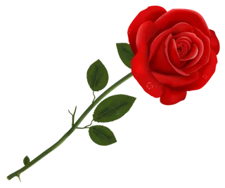 鲜花玫瑰免扣素材