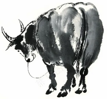 家禽大图摄影图片