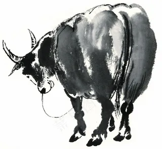 家禽大图摄影图片