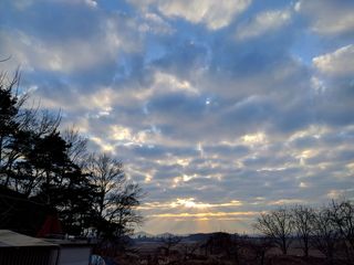 高清蓝天白云树林